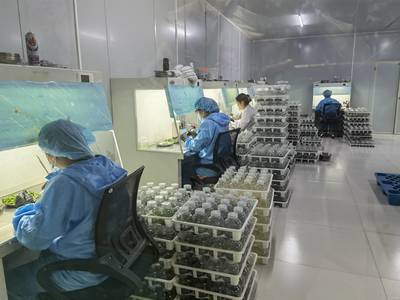 技術推廣服務 推動創新落地與產業升級